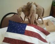 The Patriotic Pillow visits Arizona