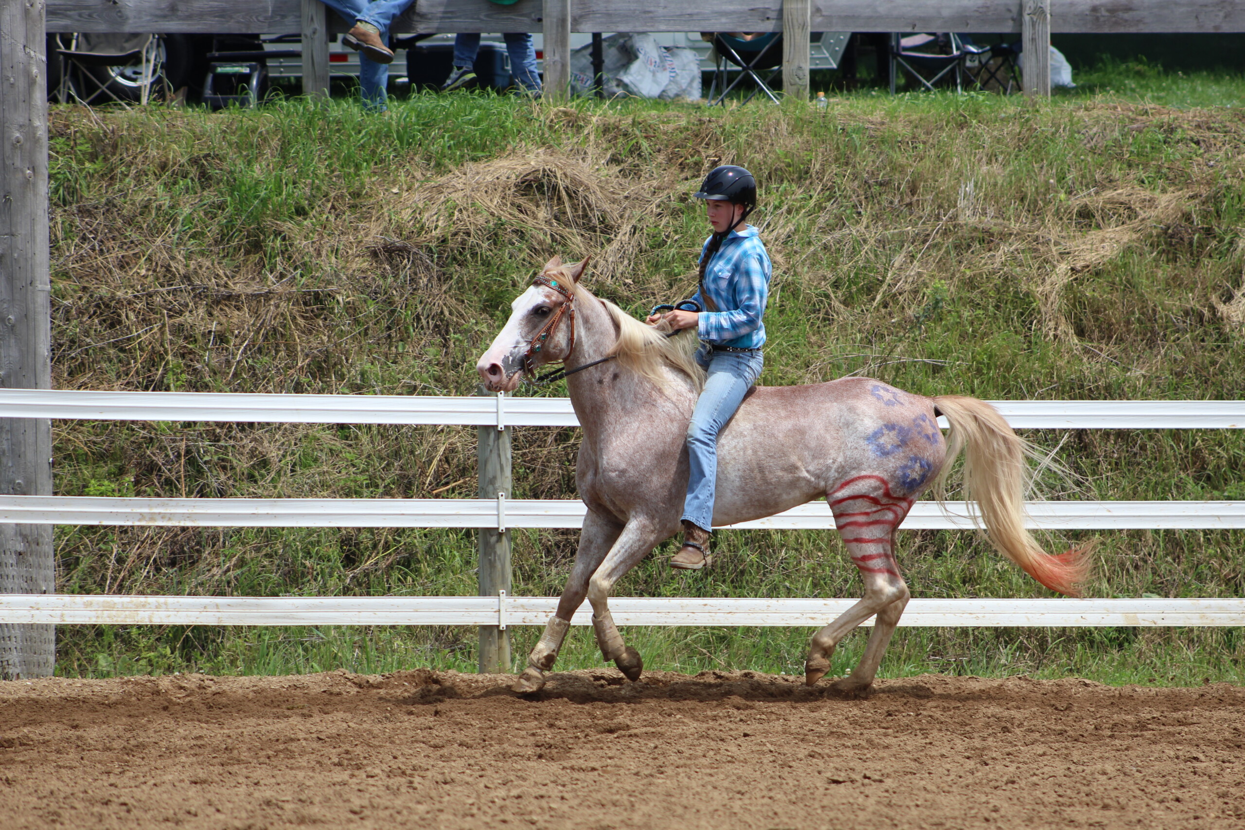 2015 4 h county fair 665 scaled 1