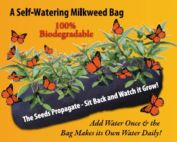 self watering milkweed bag