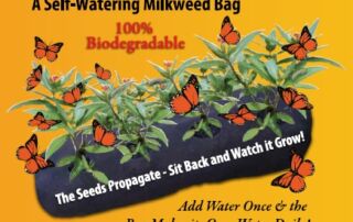 self watering milkweed bag