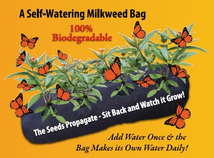 self watering milkweed bag